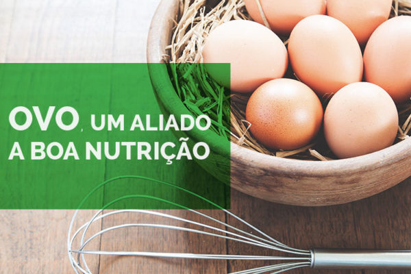 Ovo aliado da boa nutrição