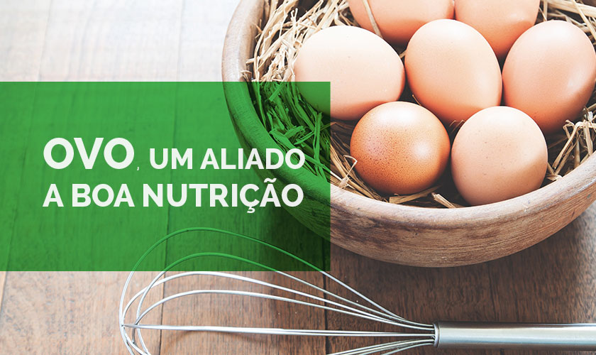 Ovo aliado da boa nutrição